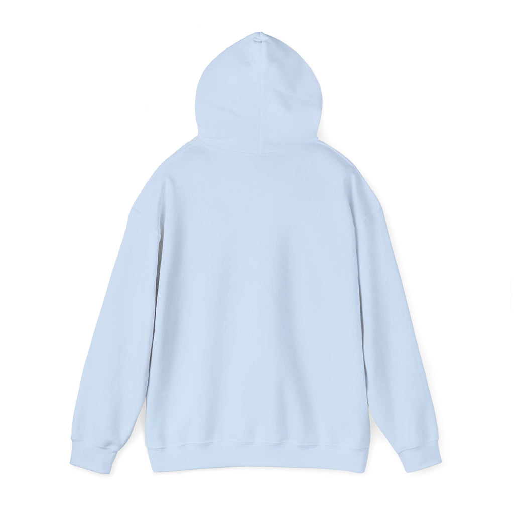 Laos Flag Brushstroke Hoodie — Patriotic Laos Pride Pullover